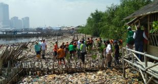 Ecomarine Mangrove, Hasil Kerjasama PJB dan Komunitas Mangrove 21