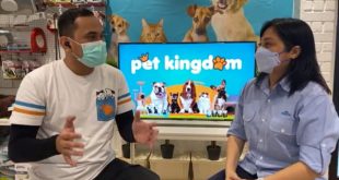 Pet Kingdom Hadir Di Surabaya Dengan Fasilitas Terlengkap 10