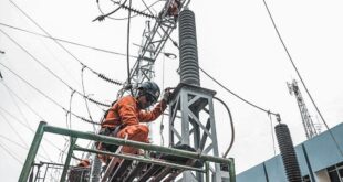 PLN Lakukan Penggantian Material di GIS Darmogrande 2