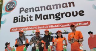 Peduli Kelestarian Alam, Cleo Tanam 5000 Bibit Pohon Mangrove 11