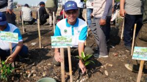 Cegah Abrasi, PLN NP Tanam 100 Ribu Pohon Mangrove 1