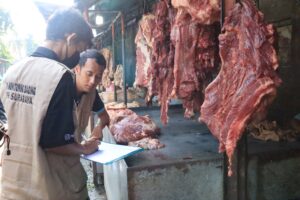 Ramadhan & Idul Fitri, RPH Siapkan 9 Ton Daging Sapi 1