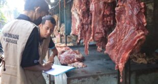 Ramadhan & Idul Fitri, RPH Siapkan 9 Ton Daging Sapi 8