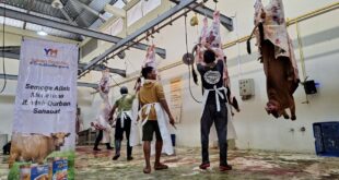 Yatim Mandiri Sembelih Hewan Qurban Sampai Pelosok Negeri 18