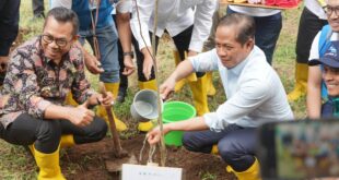 PLN NP Tanam Bibit Pohon Bersama Menteri Lingkungan Hidup 22