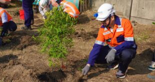 Melalui Program "High Plantation, Zero Emission" TPS Berkontribusi pada Pengurangan Emisi Karbon 33