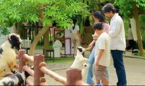 Transformasi Solo Safari Jadi Penggerak Ekosistem Pariwisata Kota 1