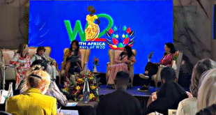 W20 Summit Afrika Selatan, Delegasi Indonesia Hadirkan Pemberdayaan Perempuan Digital Sisternet 3