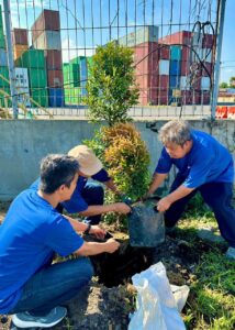 Penghijauan Area Lapangan Penumpukan Petikemas, TPK Berlian Tanam 50 Pohon 1