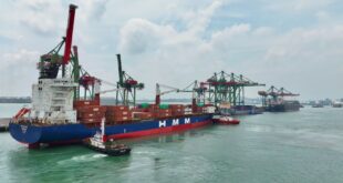 TTL Catatkan Kinerja Positif Di Februari 2026 27