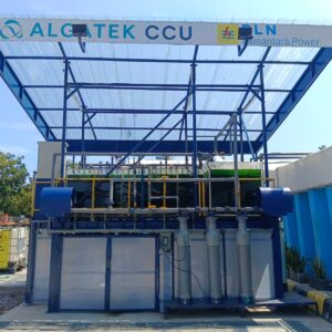 PLN NP Terapkan Carbon Capture Mikroalga 1