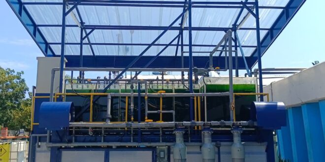 PLN NP Terapkan Carbon Capture Mikroalga 1