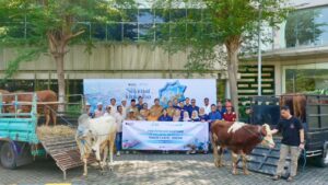 TTL Salurkan 12 Sapi dan 21 Kambing untuk Warga Sekitar 1