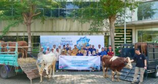 TTL Salurkan 12 Sapi dan 21 Kambing untuk Warga Sekitar 13