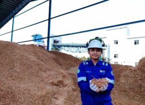 PLN NP Produksi 245 GWh Energi Hijau di Kuartal I 2026 1