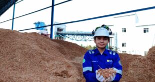 PLN NP Produksi 245 GWh Energi Hijau di Kuartal I 2026 2