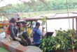 TPS Tanam 2.000 Mangrove di Romokalisari 36
