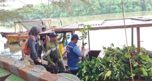 TPS Tanam 2.000 Mangrove di Romokalisari 23