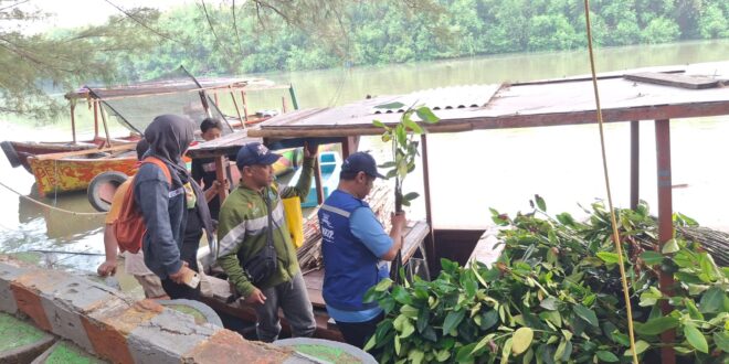 TPS Tanam 2.000 Mangrove di Romokalisari 4