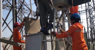 PLN UIT JBM Tingkatkan Keandalan Proteksi Listrik untuk Petrokimia Gresik 20