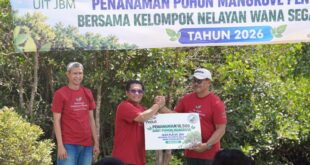 PLN UIT JBM Tanam 16.500 Mangrove di Bali Jaga Ekosistem Pesisir 2