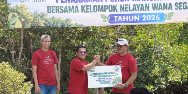 PLN UIT JBM Tanam 16.500 Mangrove di Bali Jaga Ekosistem Pesisir 4